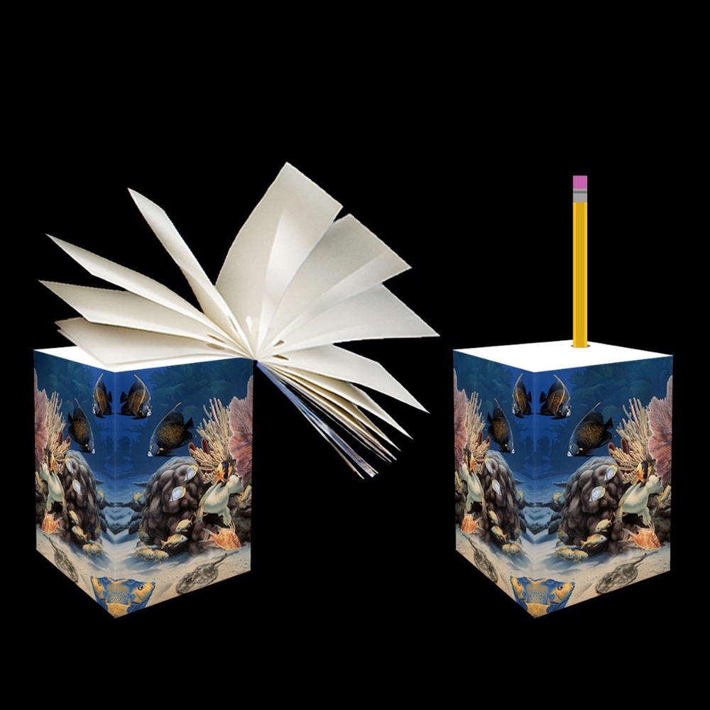 Ocean Sanctuary Note Cube: Jumbo 5" tall w/Pencil Hole Drilled (Patch Reef) new!